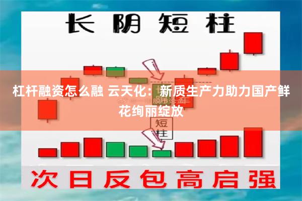 杠杆融资怎么融 云天化：新质生产力助力国产鲜花绚丽绽放