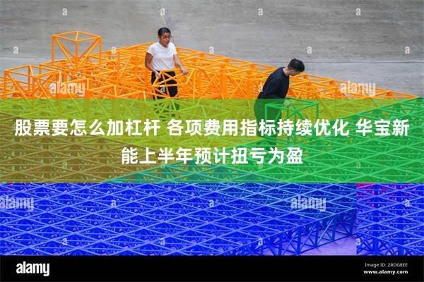 股票要怎么加杠杆 各项费用指标持续优化 华宝新能上半年预计扭亏为盈