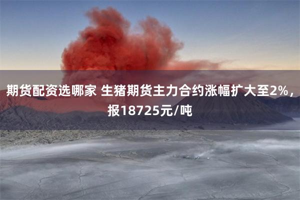 期货配资选哪家 生猪期货主力合约涨幅扩大至2%，报18725元/吨