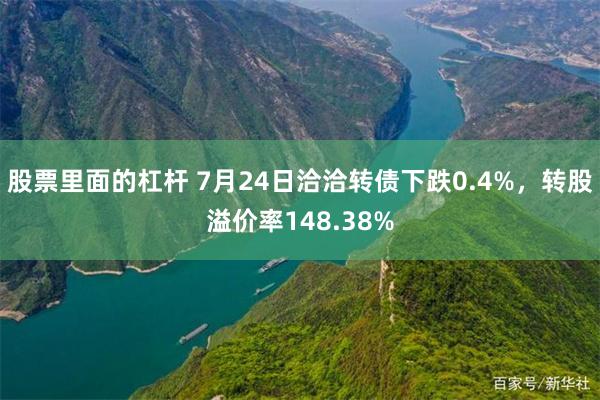 股票里面的杠杆 7月24日洽洽转债下跌0.4%，转股溢价率148.38%