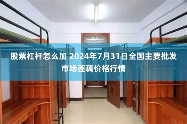 股票杠杆怎么加 2024年7月31日全国主要批发市场莲藕价格行情