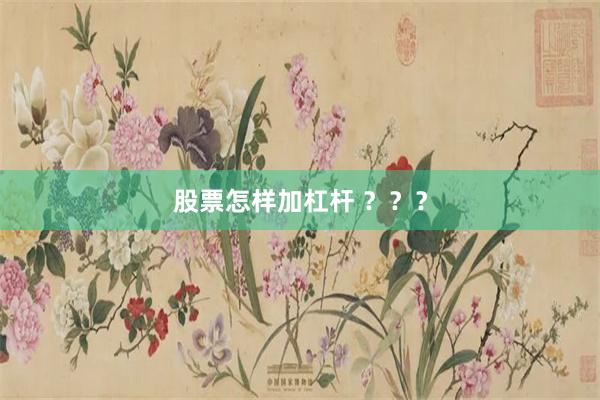 股票怎样加杠杆 ？？？