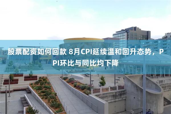 股票配资如何回款 8月CPI延续温和回升态势，PPI环比与同比均下降