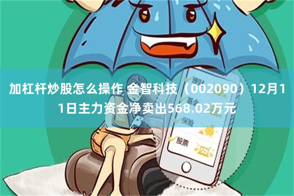 加杠杆炒股怎么操作 金智科技（002090）12月11日主力资金净卖出568.02万元