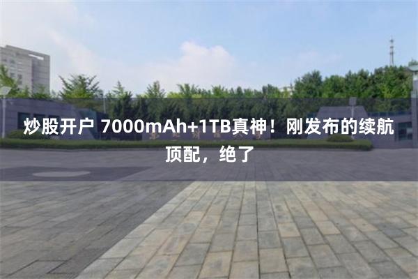 炒股开户 7000mAh+1TB真神！刚发布的续航顶配，绝了