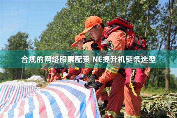 合规的网络股票配资 NE提升机链条选型