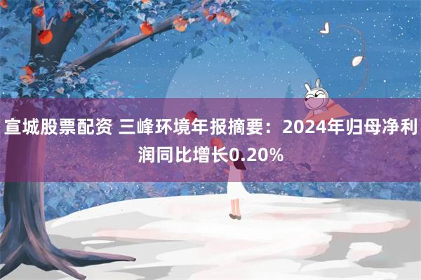 宣城股票配资 三峰环境年报摘要：2024年归母净利润同比增长0.20%