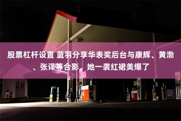 股票杠杆设置 蓝羽分享华表奖后台与康辉、黄渤、张译等合影，她一袭红裙美爆了