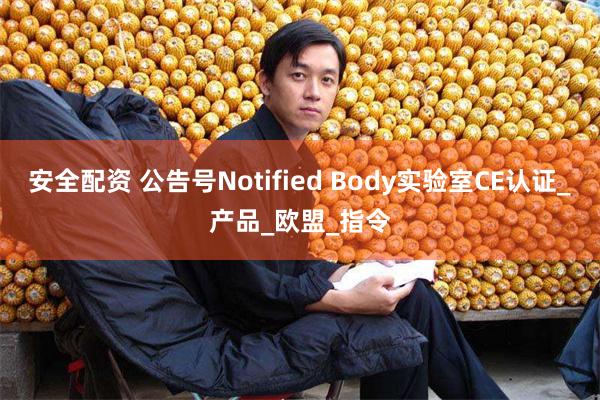 安全配资 公告号Notified Body实验室CE认证_产品_欧盟_指令