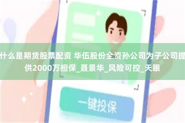 什么是期货股票配资 华伍股份全资孙公司为子公司提供2000万担保_聂景华_风险可控_天眼