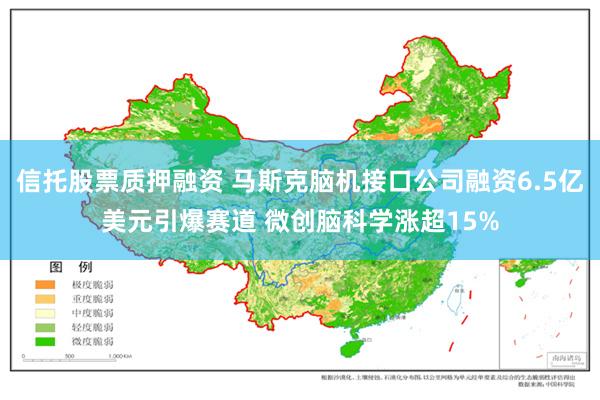 信托股票质押融资 马斯克脑机接口公司融资6.5亿美元引爆赛道 微创脑科学涨超15%