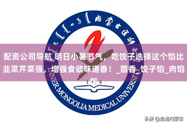 配资公司导航 明日小暑节气，吃饺子选择这个馅比韭菜芹菜强，增强食欲味道香！_茴香_饺子馅_肉馅