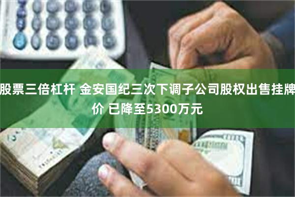 股票三倍杠杆 金安国纪三次下调子公司股权出售挂牌价 已降至5300万元