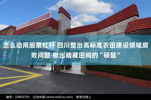 怎么动用股票杠杆 四川整治高标准农田建设领域腐败问题 揪出暗藏田间的“硕鼠”