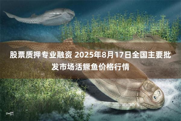 股票质押专业融资 2025年8月17日全国主要批发市场活鳜鱼价格行情