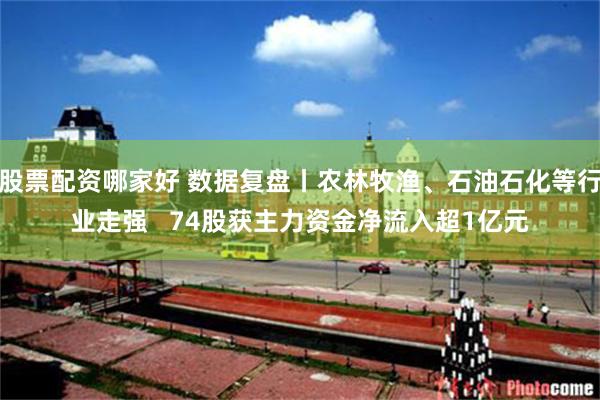 股票配资哪家好 数据复盘丨农林牧渔、石油石化等行业走强   74股获主力资金净流入超1亿元