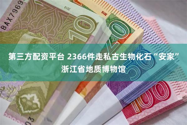 第三方配资平台 2366件走私古生物化石“安家”浙江省地质博物馆