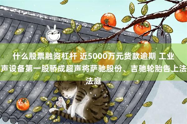 什么股票融资杠杆 近5000万元货款逾期 工业超声设备第一股骄成超声将萨驰股份、吉驰轮胎告上法庭