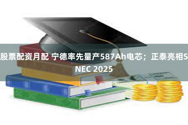股票配资月配 宁德率先量产587Ah电芯；正泰亮相SNEC 2025