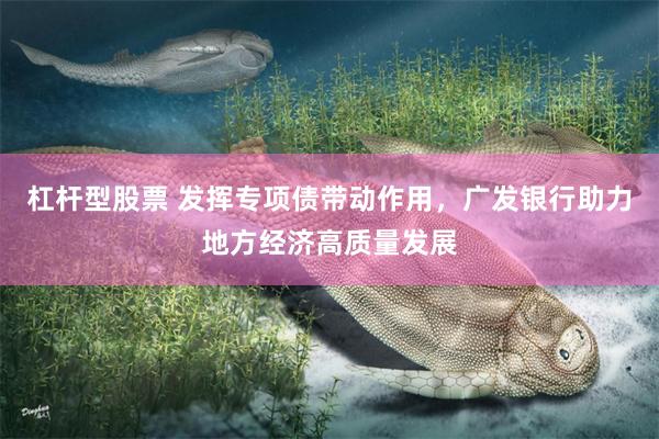 杠杆型股票 发挥专项债带动作用，广发银行助力地方经济高质量发展
