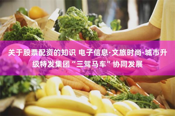 关于股票配资的知识 电子信息·文旅时尚·城市升级特发集团“三驾马车”协同发展