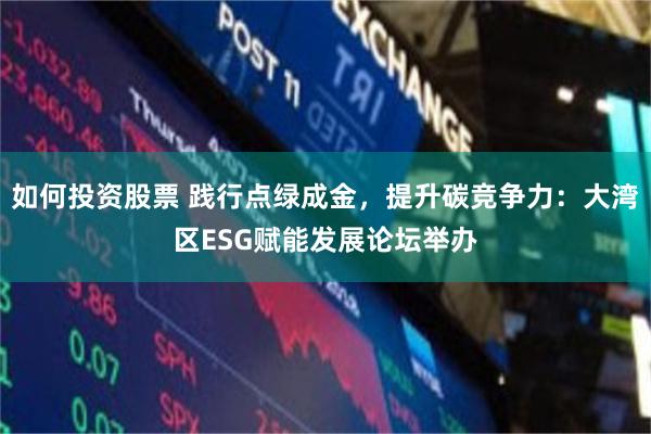 如何投资股票 践行点绿成金，提升碳竞争力：大湾区ESG赋能发展论坛举办