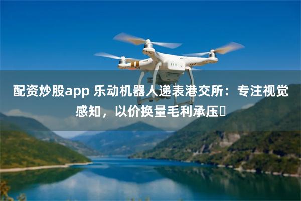 配资炒股app 乐动机器人递表港交所：专注视觉感知，以价换量毛利承压​
