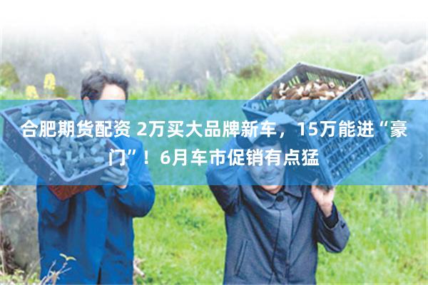 合肥期货配资 2万买大品牌新车，15万能进“豪门”！6月车市促销有点猛