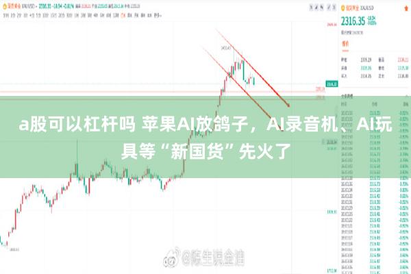 a股可以杠杆吗 苹果AI放鸽子，AI录音机、AI玩具等“新国货”先火了