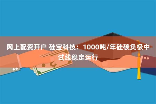 网上配资开户 硅宝科技：1000吨/年硅碳负极中试线稳定运行