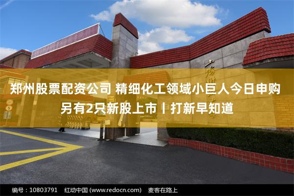 郑州股票配资公司 精细化工领域小巨人今日申购 另有2只新股上市丨打新早知道