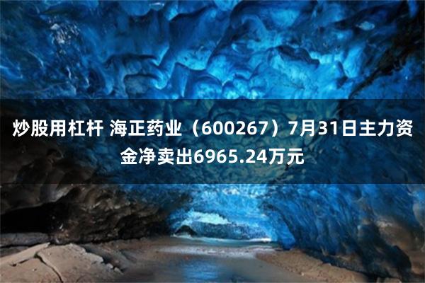 炒股用杠杆 海正药业（600267）7月31日主力资金净卖出6965.24万元