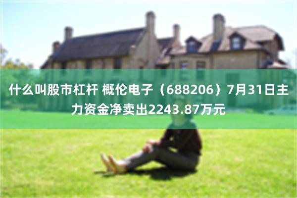 什么叫股市杠杆 概伦电子（688206）7月31日主力资金净卖出2243.87万元