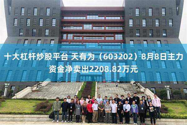 十大杠杆炒股平台 天有为（603202）8月8日主力资金净卖出2208.82万元