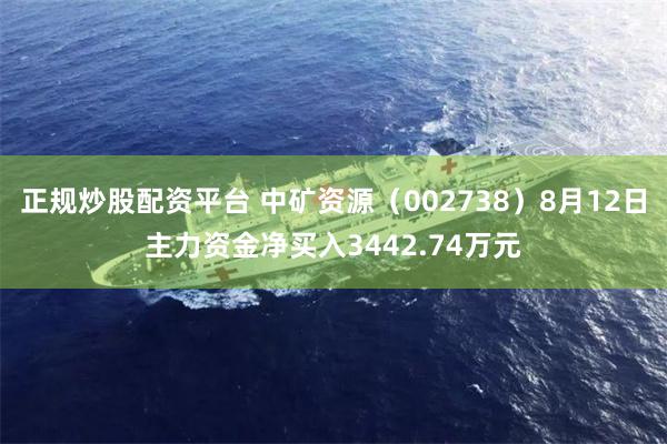 正规炒股配资平台 中矿资源（002738）8月12日主力资金净买入3442.74万元