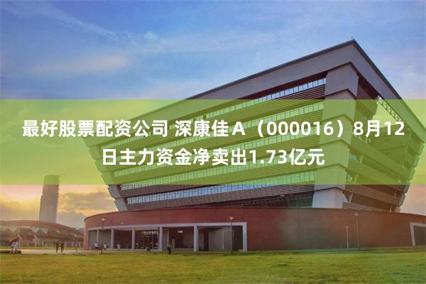 最好股票配资公司 深康佳A(000016)8月12日主力资金净卖出1.73亿元