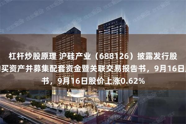 杠杆炒股原理 沪硅产业（688126）披露发行股份及支付现金购买资产并募集配套资金暨关联交易报告书，9月16日股价上涨0.62%