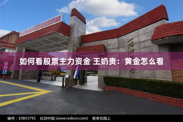 如何看股票主力资金 王奶贵：黄金怎么看