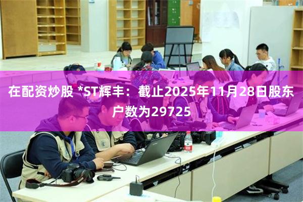 在配资炒股 *ST辉丰：截止2025年11月28日股东户数为29725
