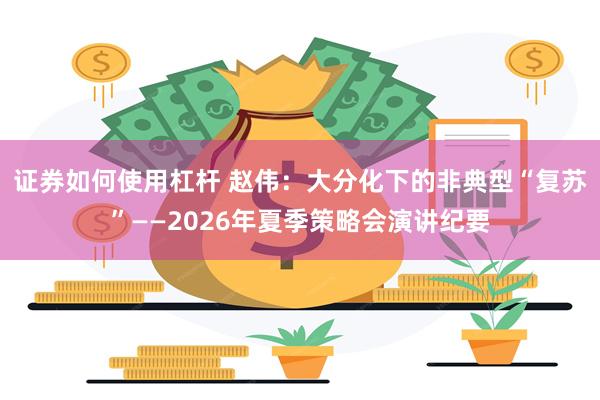 证券如何使用杠杆 赵伟：大分化下的非典型“复苏”——2026年夏季策略会演讲纪要
