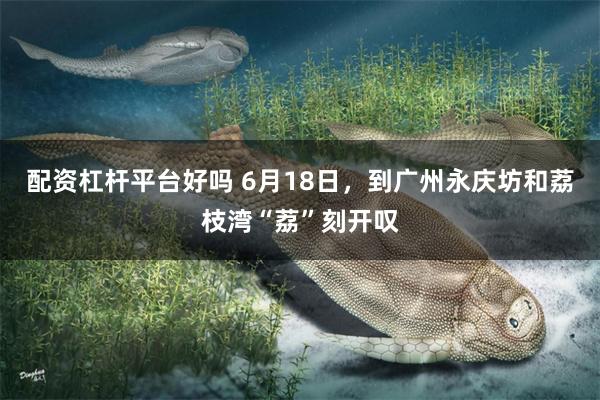 配资杠杆平台好吗 6月18日，到广州永庆坊和荔枝湾“荔”刻开叹
