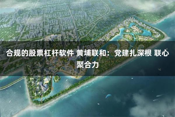 合规的股票杠杆软件 黄埔联和：党建扎深根 联心聚合力