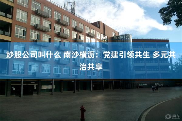 炒股公司叫什么 南沙横沥：党建引领共生 多元共治共享