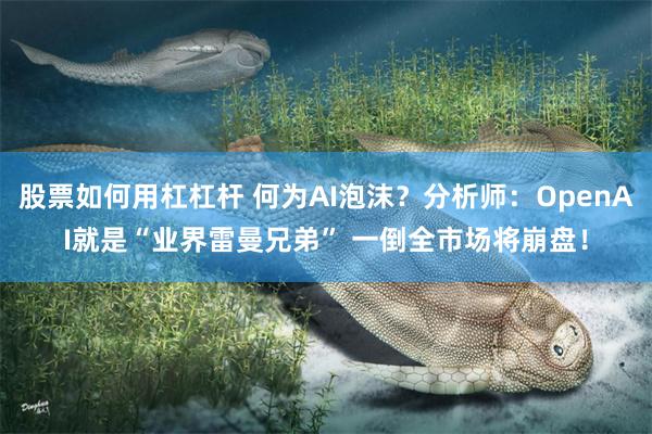 股票如何用杠杠杆 何为AI泡沫?分析师:OpenAI就是“业界雷曼兄弟” 一倒全市场将崩盘!