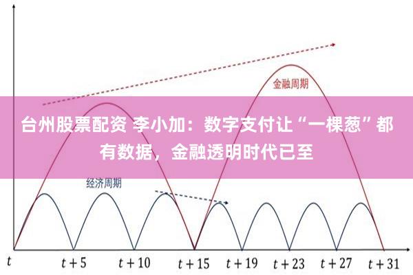 台州股票配资 李小加：数字支付让“一棵葱”都有数据，金融透明时代已至