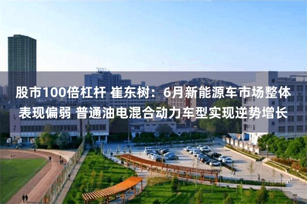 股市100倍杠杆 崔东树:6月新能源车市场整体表现偏弱 普通油电混合动力车型实现逆势增长