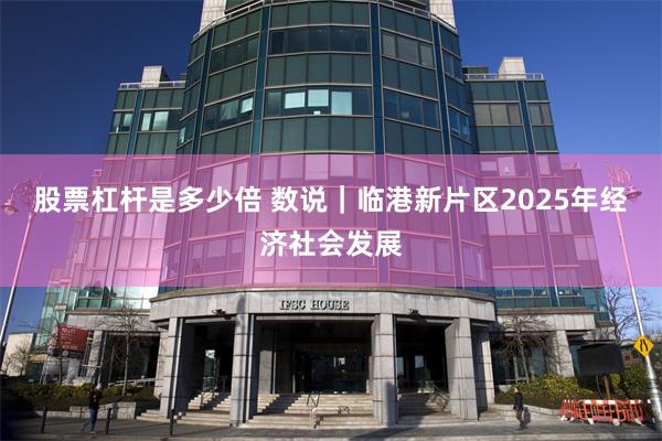 股票杠杆是多少倍 数说｜临港新片区2025年经济社会发展