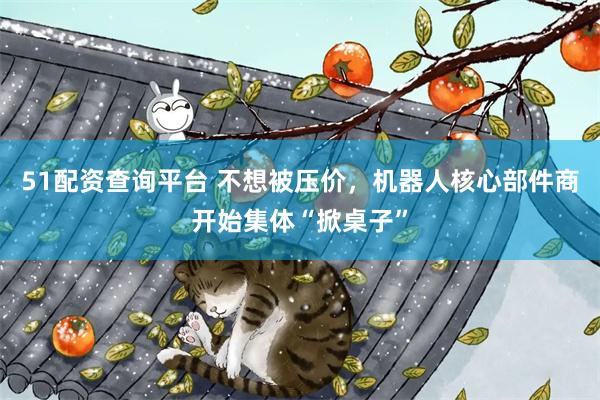 51配资查询平台 不想被压价,机器人核心部件商开始集体“掀桌子”