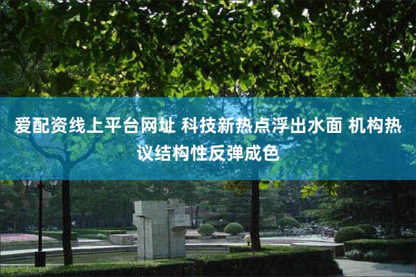 爱配资线上平台网址 科技新热点浮出水面 机构热议结构性反弹成色