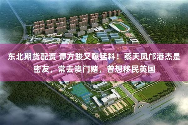 东北期货配资 谭方骏又曝猛料！蔡天凤邝港杰是密友，常去澳门赌，曾想移民英国